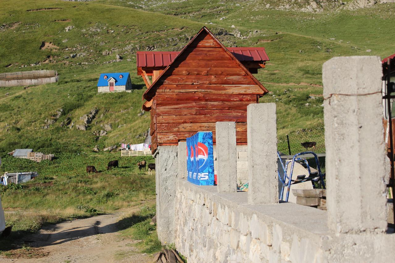 Hostel Rural Household Minic - Kapetanovo Jezero Kolašin Exteriér fotografie